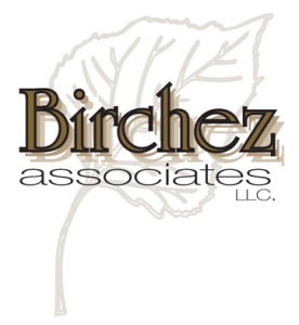 BA web logo