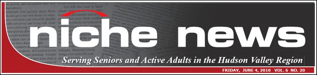 niche news logo